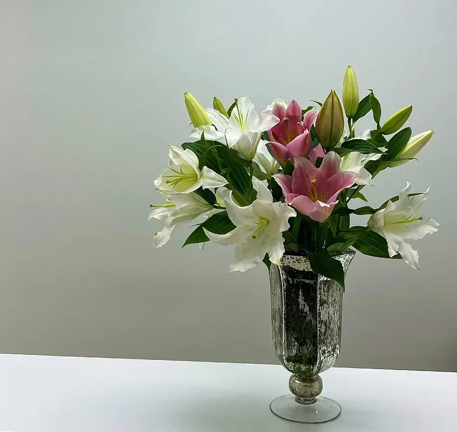 Derma Vital logo with fresh flower arrangement